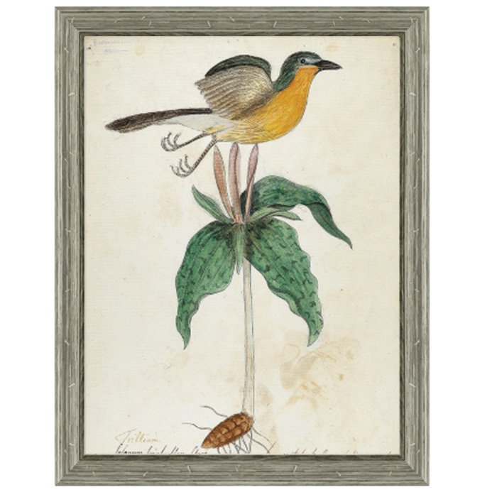 Постер Bird On Flower Постер Bird On Flower в Липецке | Loft Concept