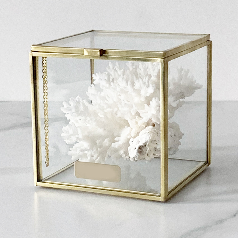 Статуэтка Natural Coral Glass Box S Статуэтка Natural Coral Glass Box S в Липецке | Loft Concept