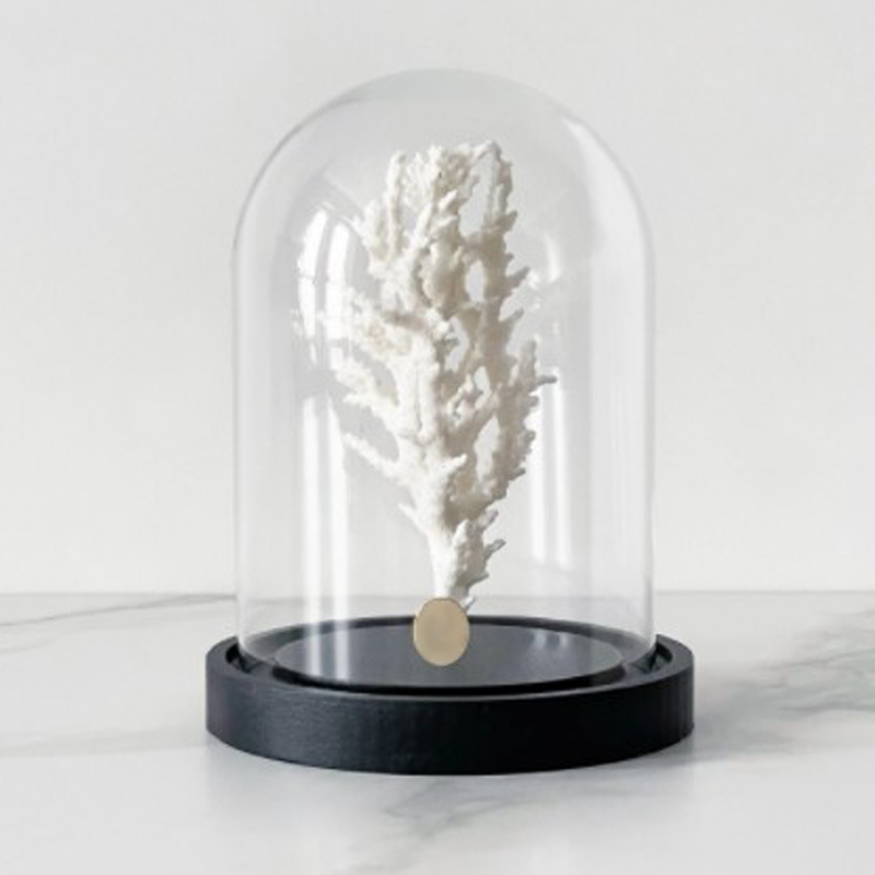 Статуэтка White Coral Glass Cloche  в Липецке | Loft Concept 