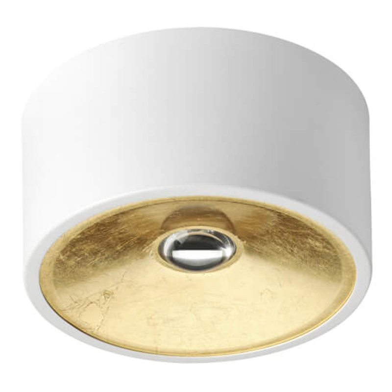 Спот Gold Diffuse Белый 20 Белый Золотой Спот Gold Diffuse Белый 20 Белый Золотой в Липецке | Loft Concept