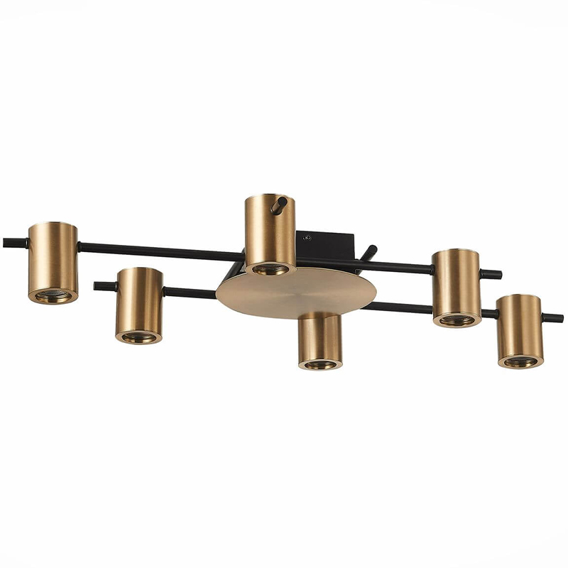 Потолочный светильник Aigle Ceiling Light 6 Черный Латунь Потолочный светильник Aigle Ceiling Light 6 Черный Латунь в Липецке | Loft Concept