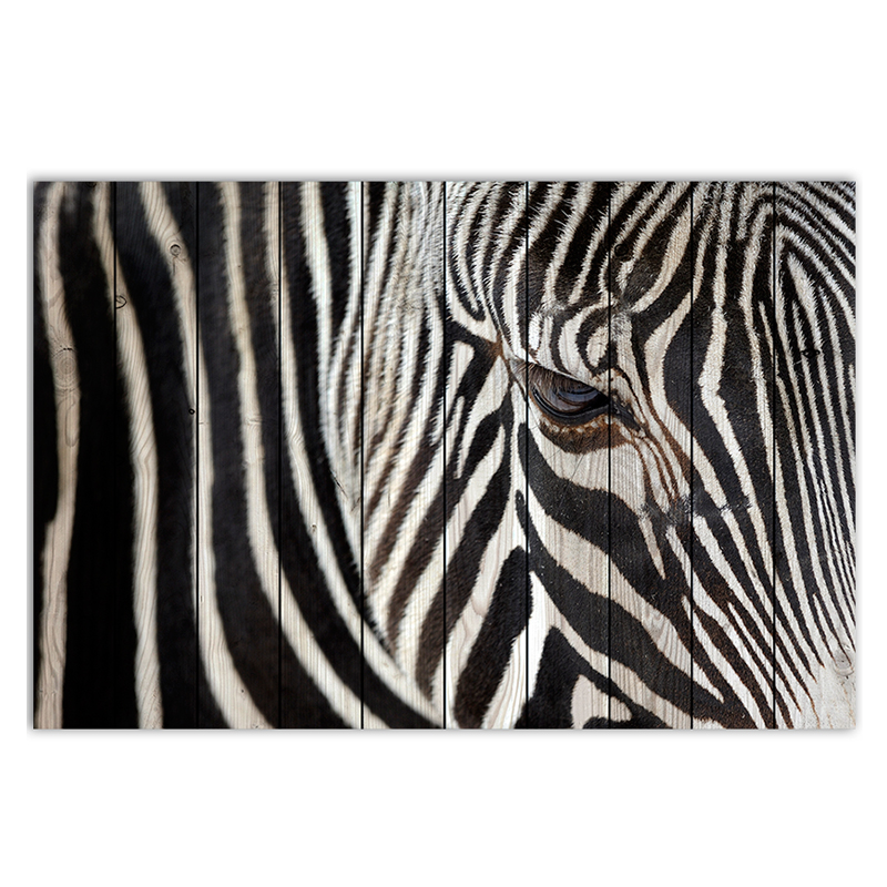 Постер Zebra Постер Zebra в Липецке | Loft Concept