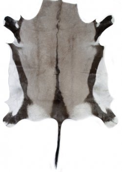 Натуральная шкура антилопы Gemsbok Черный Натуральная шкура антилопы Gemsbok Черный в Липецке | Loft Concept
