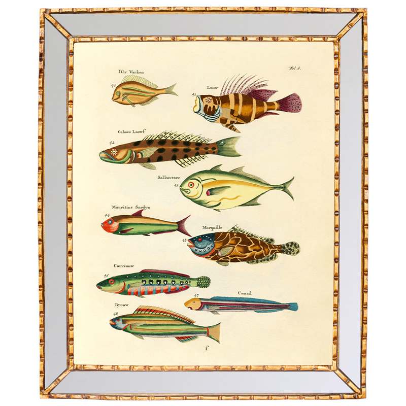 Постер в зеркальной раме Fish Guide 2 Мульти Золотой Постер в зеркальной раме Fish Guide 2 Мульти Золотой в Липецке | Loft Concept