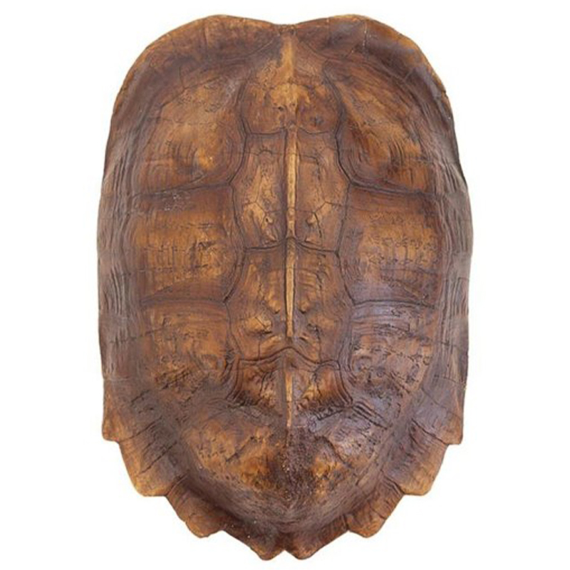 Аксессуар Turtle Shell Natural Light Brown Коричневый Аксессуар Turtle Shell Natural Light Brown Коричневый в Липецке | Loft Concept