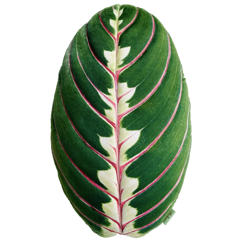 Декоративная подушка Botanical Cushion Maranta Trikolor Зеленый Бургундский красный Декоративная подушка Botanical Cushion Maranta Trikolor Зеленый Бургундский красный в Липецке | Loft Concept