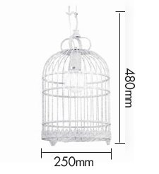 Подвесной светильник Bird Cage Подвесной светильник Bird Cage в Липецке