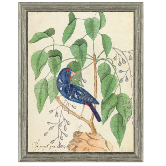Постер Blue Bird In Foliage Постер Blue Bird In Foliage в Липецке | Loft Concept