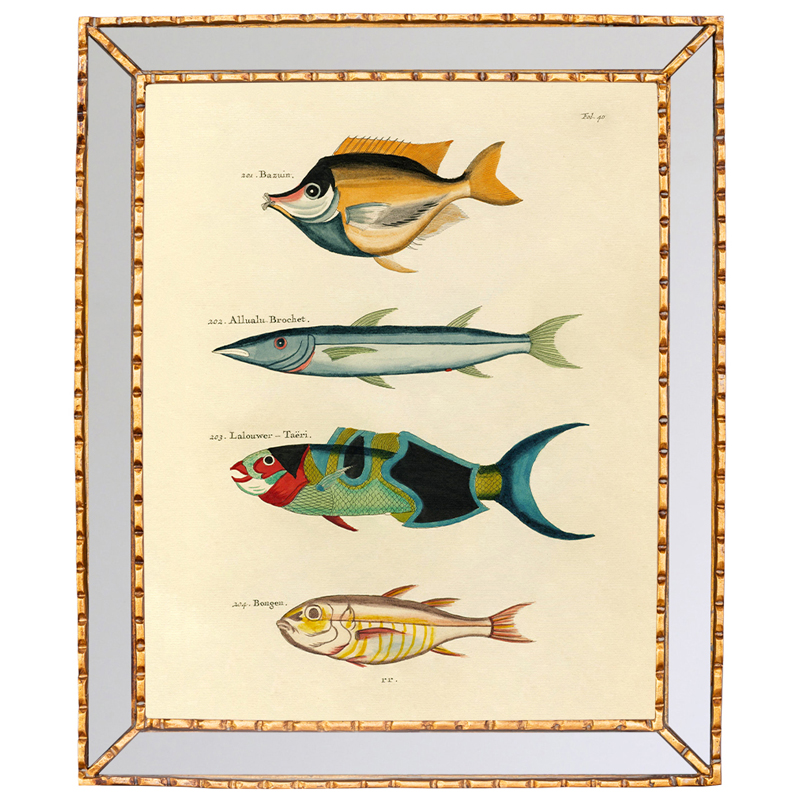 Постер в зеркальной раме Fish Guide 3 Мульти Золотой Постер в зеркальной раме Fish Guide 3 Мульти Золотой в Липецке | Loft Concept
