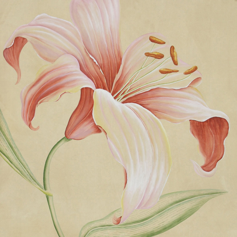 Обои ручная роспись Lilium Special Colourway on yellow painted silk Обои ручная роспись Lilium Special Colourway on yellow painted silk в Липецке | Loft Concept