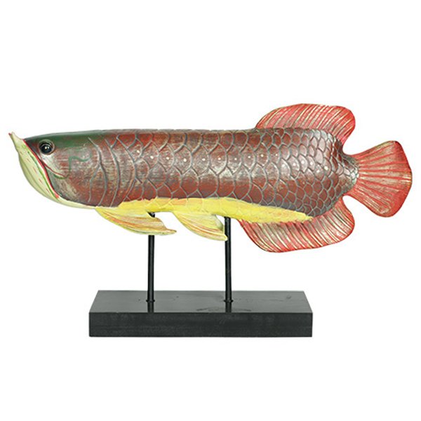 Аксессуар для интерьера рыба Colored Fish Аксессуар для интерьера рыба Colored Fish в Липецке | Loft Concept