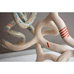 Скульптура «Papañca» варинант исполнения - 3 | Loft Concept в Липецке