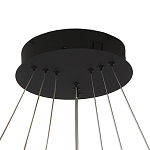 Люстра светодиодная с 3-мя плафонами в форме колец из акрила и алюминия с пультом для регулировки света Ring Horizontal Anthracite варинант исполнения - 5 | Loft Concept в Липецке