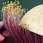 Статуэтка фантастический фрукт Exotic Tropical Fruit orange and white 67 варинант исполнения - 2 | Loft Concept в Липецке