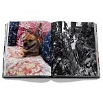 Книга подарочная Смелый бразильский стиль Сиг Бергамина Assouline Maximalism by Sig Bergamin варинант исполнения - 9 | Loft Concept в Липецке