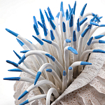 Статуэтка тропический фрукт Tropical Fruit White Blue варинант исполнения - 1 | Loft Concept в Липецке