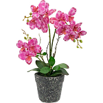 Декоративный искусственное растение Pink orchid варинант исполнения - 1 | Loft Concept в Липецке