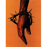 Подарочная книга величайший фотограф Альберт Уотсон The Vienna album Albert Watson варинант исполнения - 4 | Loft Concept в Липецке