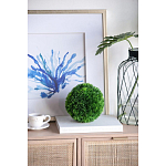 Декоративный искусственное растение Round boxwood варинант исполнения - 4 | Loft Concept в Липецке