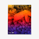 Редкое подарочное издание Yayoi Kusama: 1945 to Now варинант исполнения - 3 | Loft Concept в Липецке