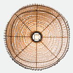 Подвесной светильник в виде купола декорированный белыми деревянными бусинами White Wooden Beads Hanging Lamp варинант исполнения - 4 | Loft Concept в Липецке