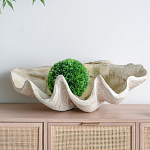 Блюдо декоративное в виде ракушки Seashell варинант исполнения - 3 | Loft Concept в Липецке