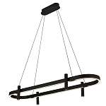 Люстра подвесная овальная черная  Black Light Fixtures варинант исполнения - 1 | Loft Concept в Липецке