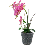 Декоративный искусственное растение Pink orchid варинант исполнения - 4 | Loft Concept в Липецке