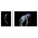 Монография художника Tavares Strachan - There is Light Somewhere варинант исполнения - 6 | Loft Concept в Липецке