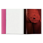 Книга Gisele Bundchen варинант исполнения - 7 | Loft Concept в Липецке