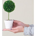 Декоративный искусственное растение Boxwood One варинант исполнения - 6 | Loft Concept в Липецке