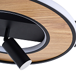 Потолочный светильник круглый GAVIN WOOD варинант исполнения - 2 | Loft Concept в Липецке