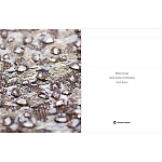 Книга Maison Lesage: Haute Couture Embroidery Mauries Patrick варинант исполнения - 11 | Loft Concept в Липецке