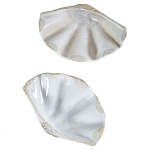 Фигурка из фарфора в виде одной створки ракушки Marine Tridacna варинант исполнения - 3 | Loft Concept в Липецке