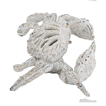 Статуэтка краб с детализированной текстурой в белом цвете Marine Accessories варинант исполнения - 4 | Loft Concept в Липецке