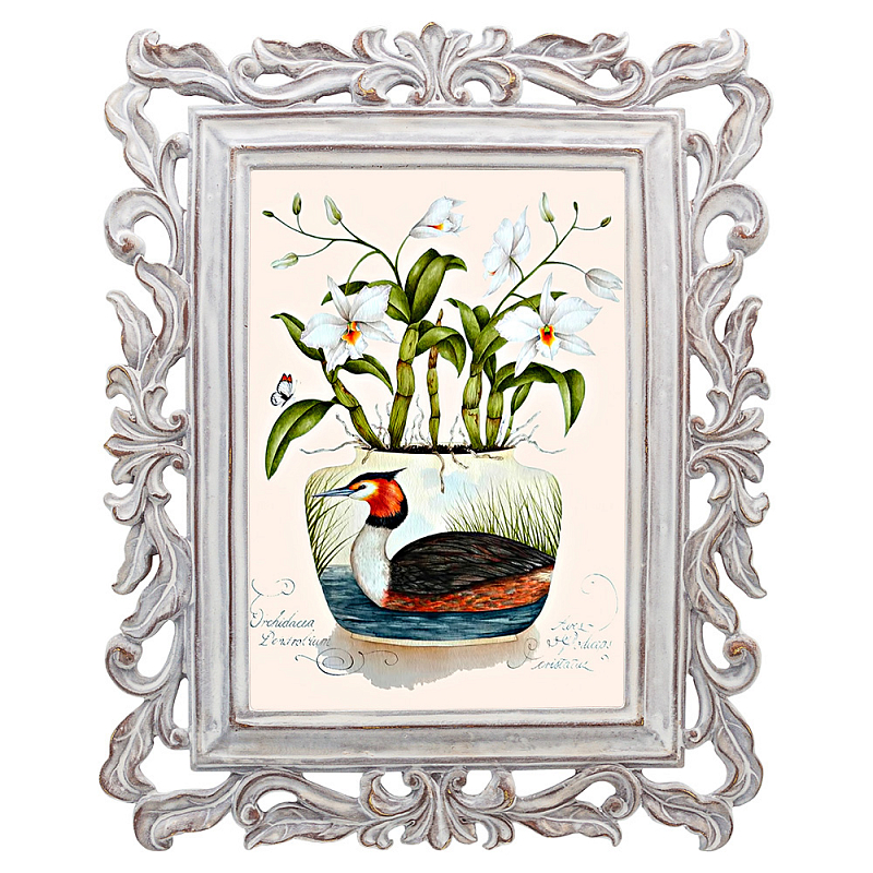Постер Tropical Orchid Poster Мульти Белый винтажная патина Постер Tropical Orchid Poster Мульти Белый винтажная патина в Липецке | Loft Concept