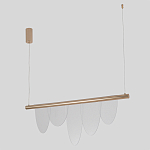 Люстра подвесная с пятью прозрачными элементами в форме лепестков и золотистым металлическим основанием DALI Tonin Casa варинант исполнения - 2 | Loft Concept в Липецке