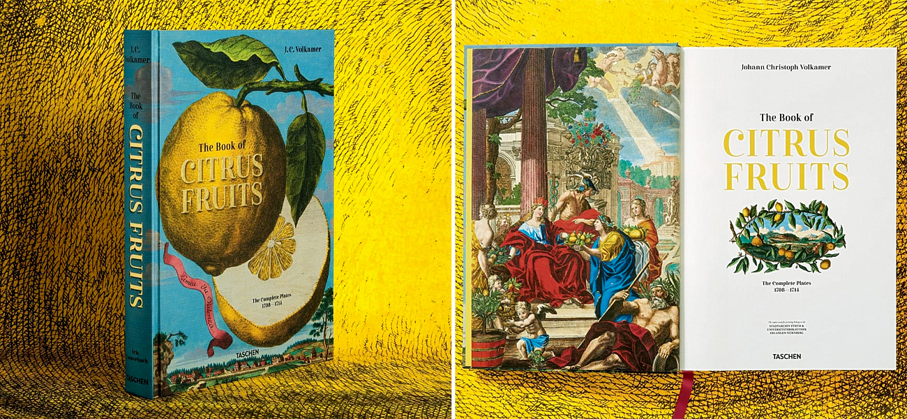 Volkamer Citrus Fruits Volkamer Citrus Fruits - Loft-Concept в Липецке
