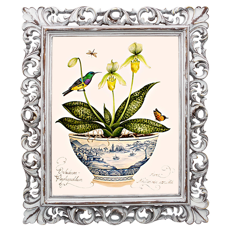 Постер Hummingbird On Flower Poster Мульти Белый винтажная патина Постер Hummingbird On Flower Poster Мульти Белый винтажная патина в Липецке | Loft Concept