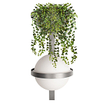 Бра Benedict Dark grey варинант исполнения - 1 | Loft Concept в Липецке