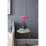 Декоративный искусственное растение Pink orchid варинант исполнения - 8 | Loft Concept в Липецке