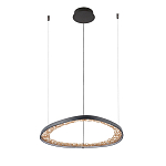 Люстра светодиодная  Iris варинант исполнения - 2 | Loft Concept в Липецке