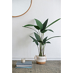 Декоративный искусственное растение Decor Stile  варинант исполнения - 7 | Loft Concept в Липецке