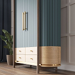 Шкаф «Гавайи» варинант исполнения - 2 | Loft Concept в Липецке