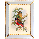 Постер с изображением птиц и цветов в зеркальной раме Blooming Birds Poster варинант исполнения - 7 | Loft Concept в Липецке