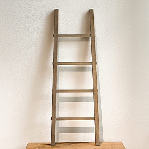 Лестница-вешалка Mitzi Hanger Ladder