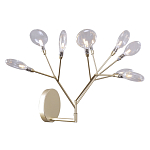 Бра в виде ветвей с прозрачными круглыми плафонами Moooi варинант исполнения - 1 | Loft Concept в Липецке