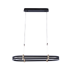 Люстра светодиодная в форме овала из акрила и алюминия с пультом для регулировки света Ring Horizontal Anthracite варинант исполнения - 1 | Loft Concept в Липецке