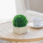 Декоративный искусственное растение Square boxwood варинант исполнения - 6 | Loft Concept в Липецке