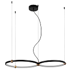 Люстра подвесная светодиодная черный металл Ring Horizontal варинант исполнения - 9 | Loft Concept в Липецке